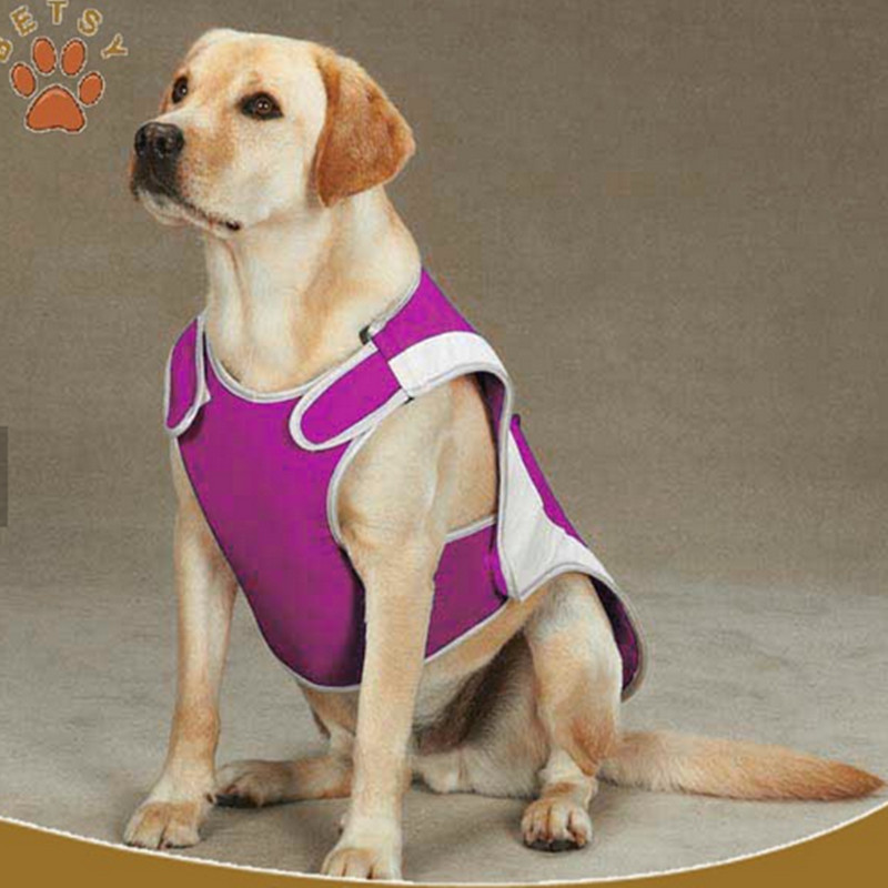 De hond Cool vest tanks