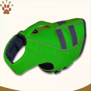 De hoge kwaliteit van de grote hond die een vest.