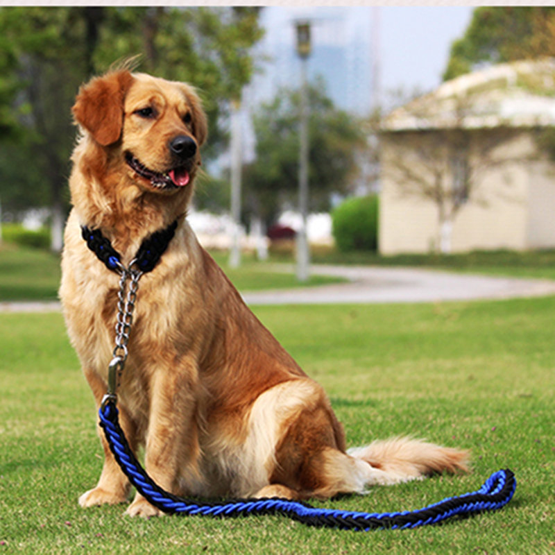 Hoe te zorgen voor een huisdier?De hond eten?