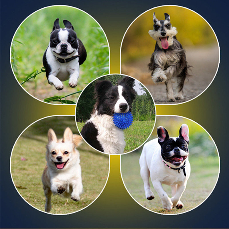 Hoe lager de vernietigende kracht van honden