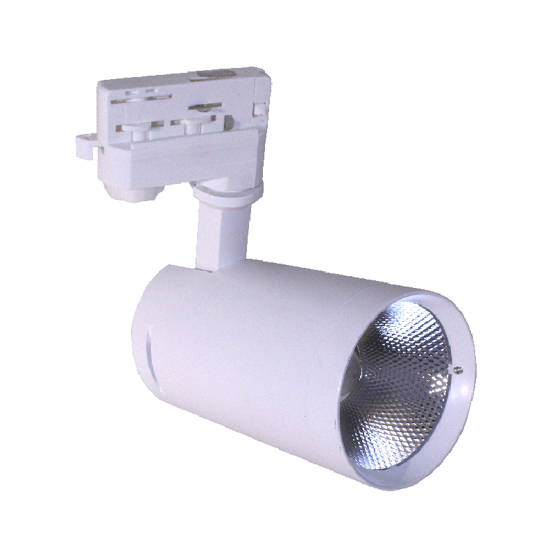 - spot lichten 30w geleid.