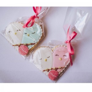 OPP CPP PE Zelfklevende matte plastic zak met verzegeling voor snoepkoekjes