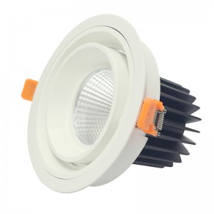 LED-plafondlamp in ronde en vierkante vorm COB 20W 30W inbouwspot LED-plafondmontagelamp