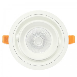 LED-plafondlamp in ronde en vierkante vorm COB 20W 30W inbouwspot LED-plafondmontagelamp