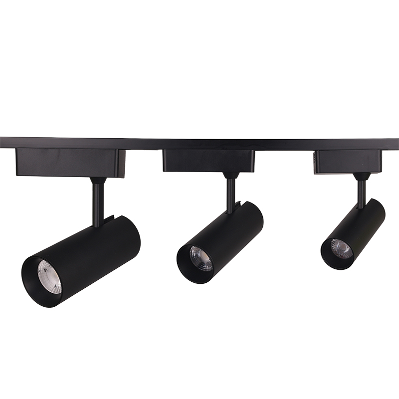 Aluminium flexibele rupsverlichting COB led-spot rupslicht met driverbox