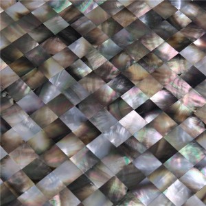 Nieuwste design interieur decoratieve wand Abalone dweilschelp tegel