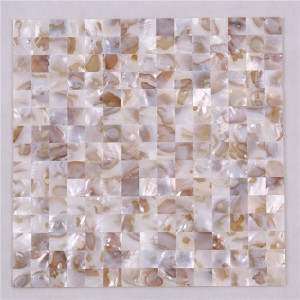 Wall Art Natural Shell Mosaic voor Villa-achtergrond