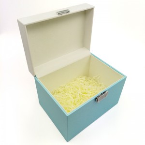 Eenvoudige PU lederen sieraden opbergdoos met slot huwelijkscadeau