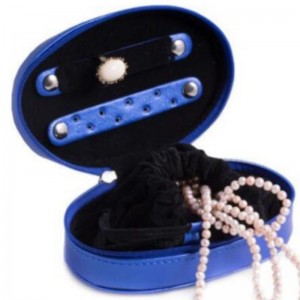 Kunstleer sieraden geval