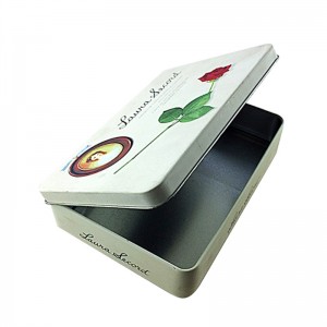 Op maat gemaakte rechthoekige cosmetische blikken doos voor gezichtsmaskerverpakking met scharnierdeksel