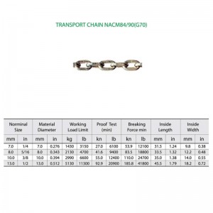 G70 Gelegeerde stalen transportketting Nacm-96 YZ