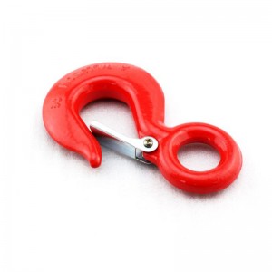 320A Ooghijshaak met grendel geschilderd