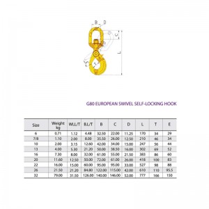 G80 Draaibare zelfsluitende veiligheidshaak geverfd
