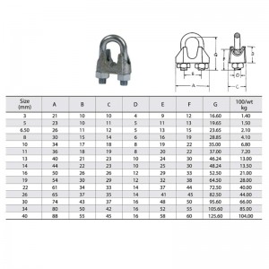 DIN 741 Gegalvaniseerde smeedbare draadklem