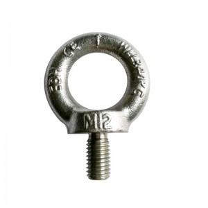 316 gesmede oogschroef DIN580