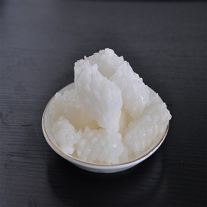 Bevroren Inktvis Bloem