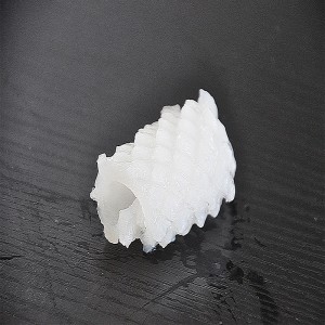 Bevroren Inktvis Bloem