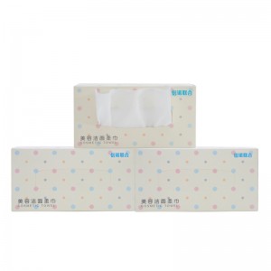 Wegwerp gezichtsreiniging veeg