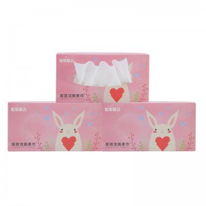 Make-up verwijderen veeg