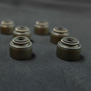 Auto rubberen afdichting Klepsteel rubberen afdichtingen voor Chevrolet cruze auto's