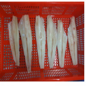 Bevroren Alaska Pollock-filets