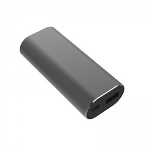 WS-P2 Smart Voice Translator Oordopjes