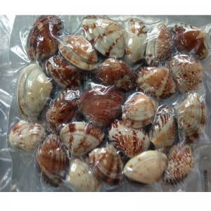 VACUÜM SHELL-ON CLAM