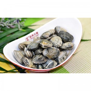 BEVROREN SHELL-ON CLAM