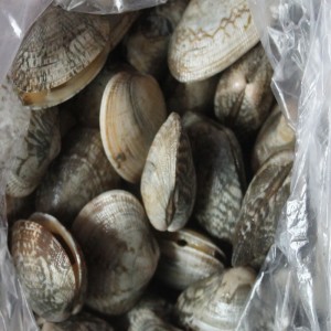 BEVROREN SHELL-ON CLAM