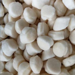 Bevroren zee-coquilles vlees