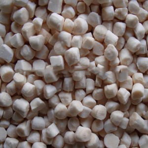 Bevroren zee-coquilles vlees