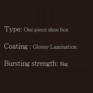 Schoenendoos OP Type1