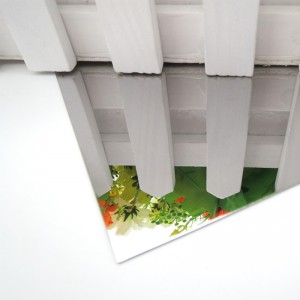304 8k spiegel geëtste roestvrijstalen platen voor liftdecoratie