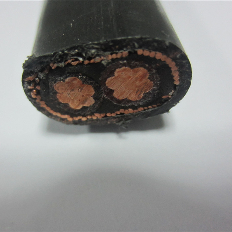 16 mm 25 mm gesplitste concentrische kabel 2x8 2x10 3x6 3x8 AWG voedingskabel voor dienstingang