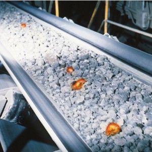 Hittebestendige transportband