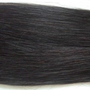 Paardenstaart - Crown08