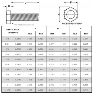 Hex Tap Bouten Grade 5
