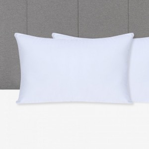 100% Chinees eendendonskussen