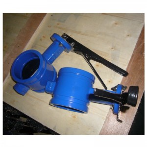 Gegroefde vlinderklep