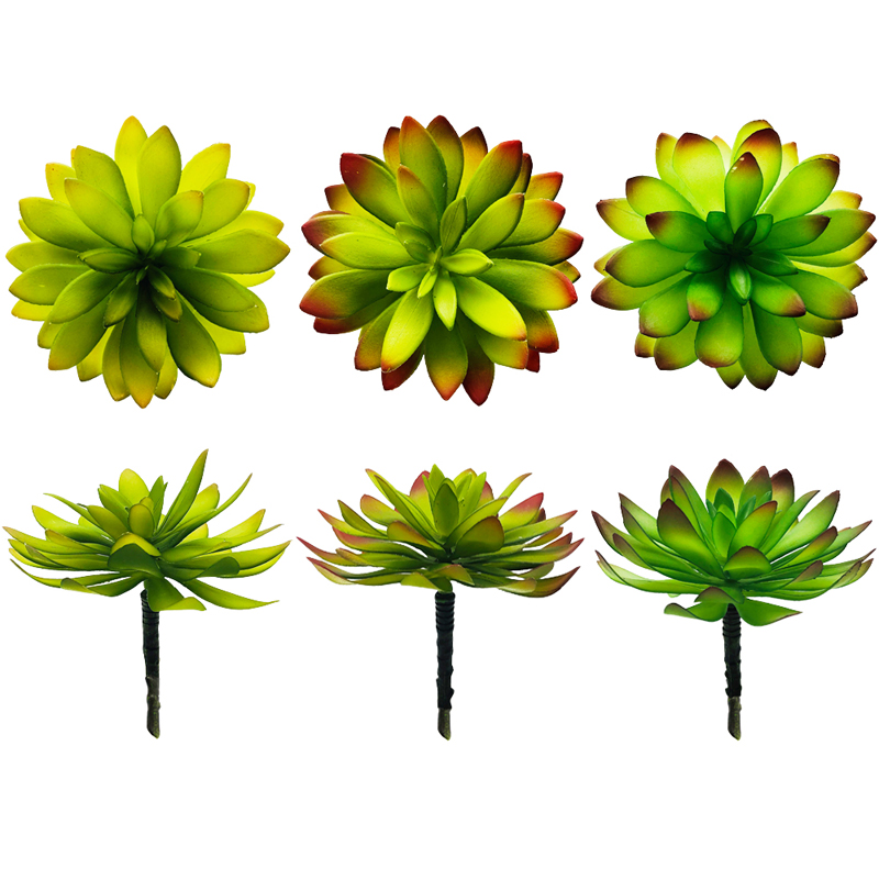 Kunstmatige vetplanten Kies groene faux decoraties Cactus