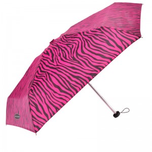 5-voudige minifotografie kleine aangepaste ontwerpstijl drukparaplu