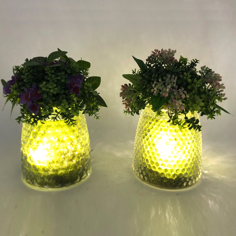 LED glazen tafelblad decoratieve kunstmatige vetplanten met Globe Display vaas