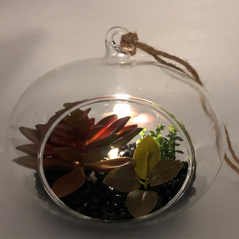 LED glazen tafelblad decoratieve kunstmatige vetplanten met Globe Display vaas