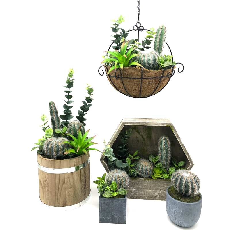 Moderne kunstmatige vetplanten met pot tafelblad decoratieve Globe Display vaas