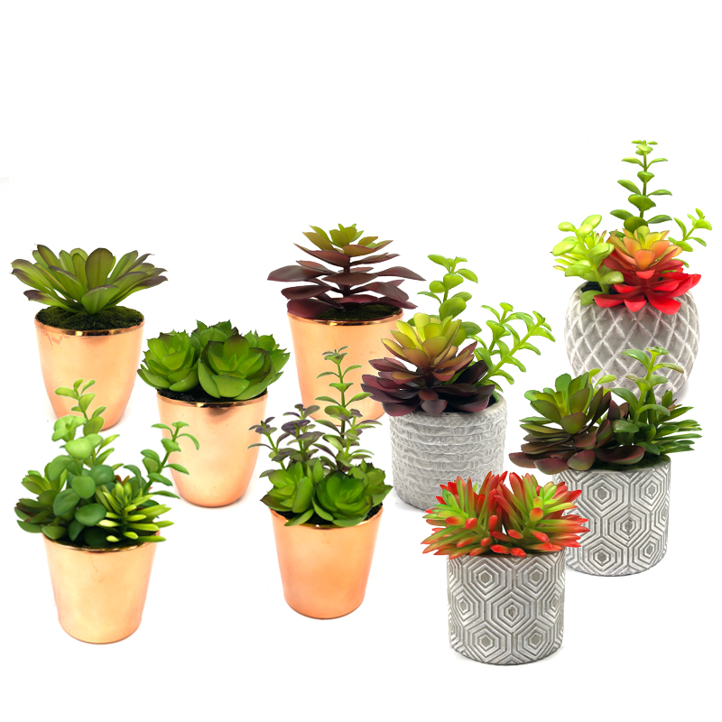Mini kunstmatige vetplanten met pot tafelblad Decoratief Globe Display Home Decor