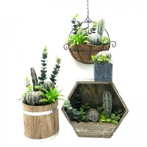 Kunstmatige Cactus Set Voor Thuis Of Kantoor In Decoratieve Succulente Pot