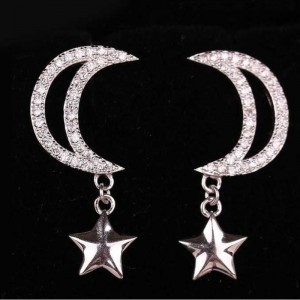 S925 Car Flower Tremella Ornament Star Moon Embedded Zirkoon Fashion Oorbellen