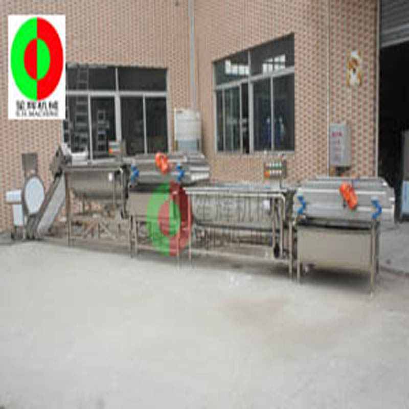 Eddy Current Groentewasmachine