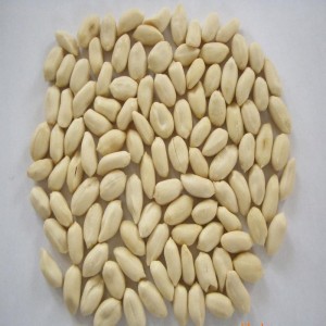 De machine van de pindaschil / machine van de pinda's de natte schil