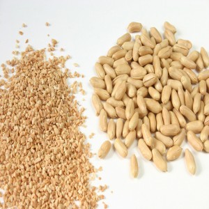 Pinda Chopper / Peanut Dry De Chopper